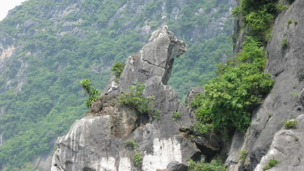 Tour Quảng Ninh 2 Ngày 1 Đêm – Hà Nội – Hạ Long – Bãi Cháy