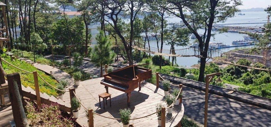 Thông Zeo Coffee – Quán café giữa rừng thông thơ mộng tại Hạ Long